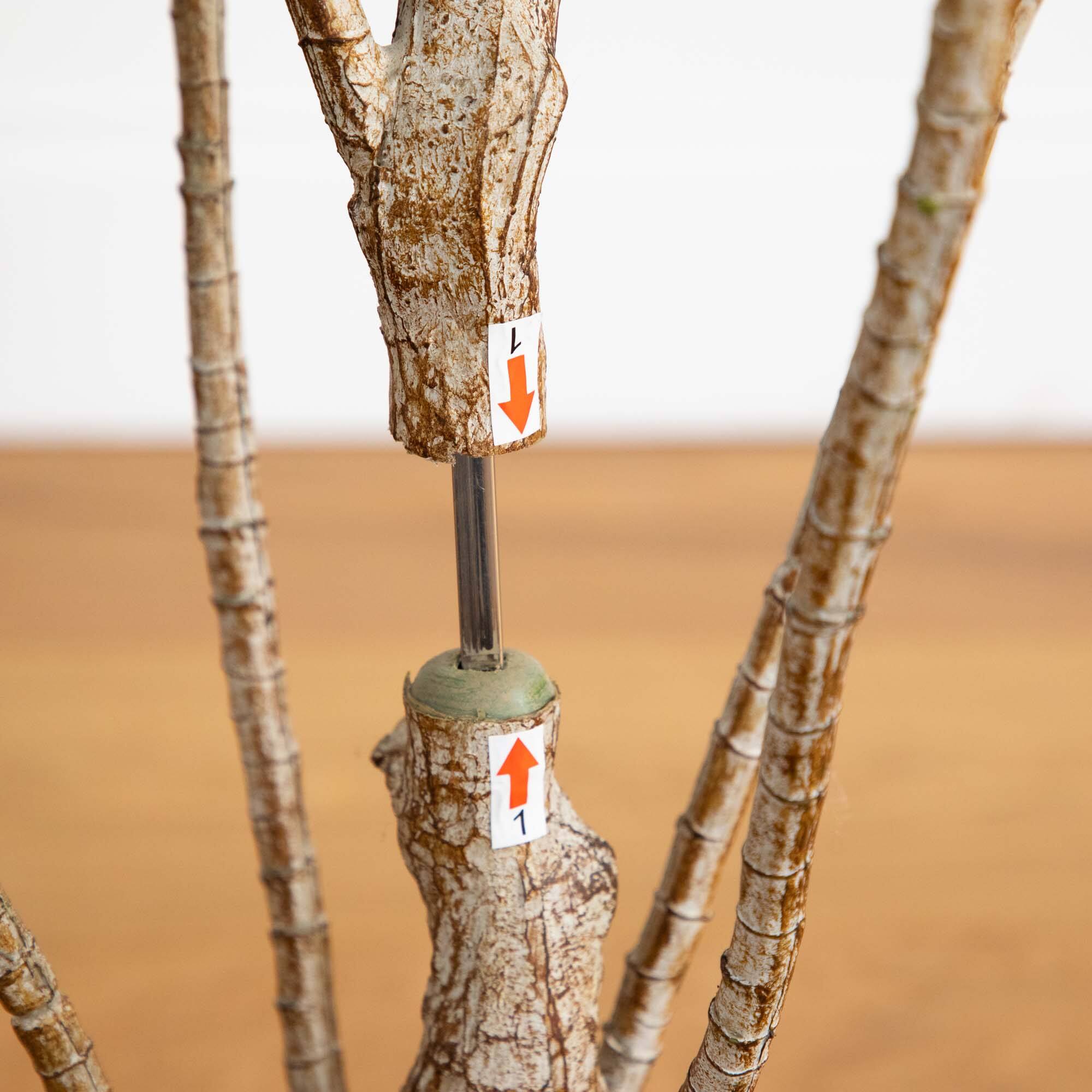 6ft. Potted Dracaena Tree